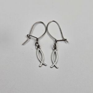 Elegant Silver Fish Hook Earrings